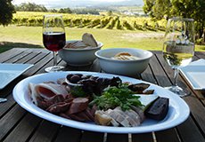 Full-Day Wine Tour - Launceston Tasmania